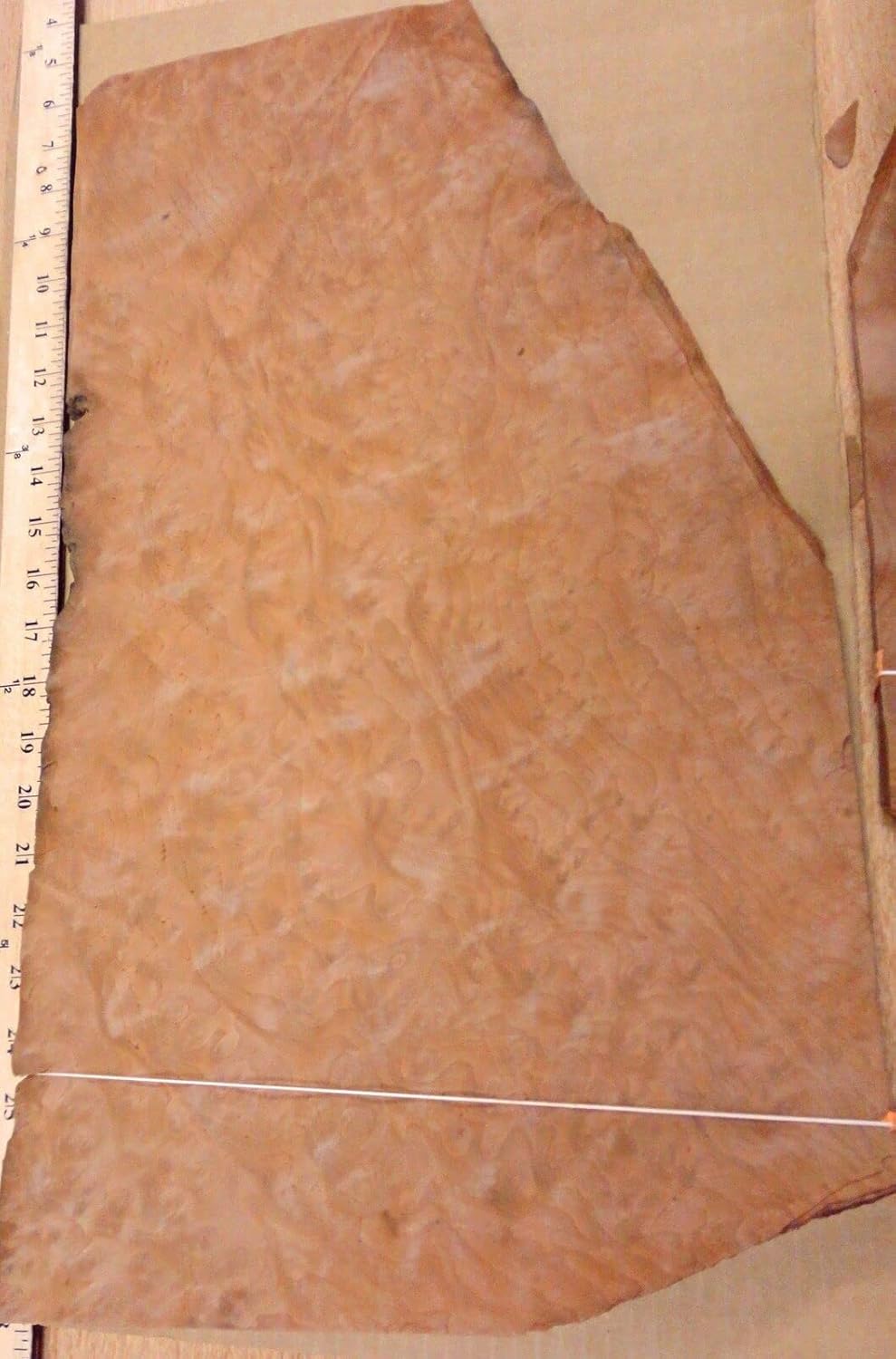 Madrone Burl Wood Veneer 12" x 21" raw no Backing 1/42" Thickness AA Grade