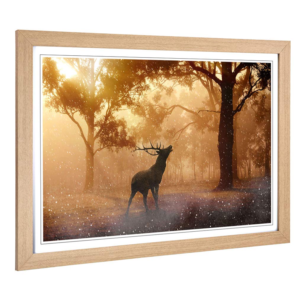 Big Box Art Framed Print of Stag in an Autumn Forest Landscape Design | Wall Art Picture | Home Decor for Kitchen, Living Room, Bedroom, Hallway, Oak, A2 / 24.5x18 Inch / 62x45cm