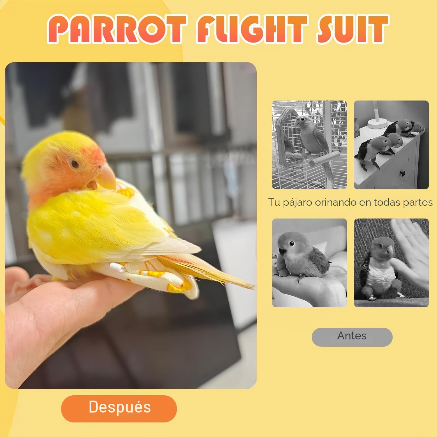 6 pañales FAURAPMNG para pájaros, pañales reutilizables para loros, ropa de cacatúa con cuerda elástica en la espalda, impermeable, capa interior, lavable, pantalones para periquitos, periquitos, mini