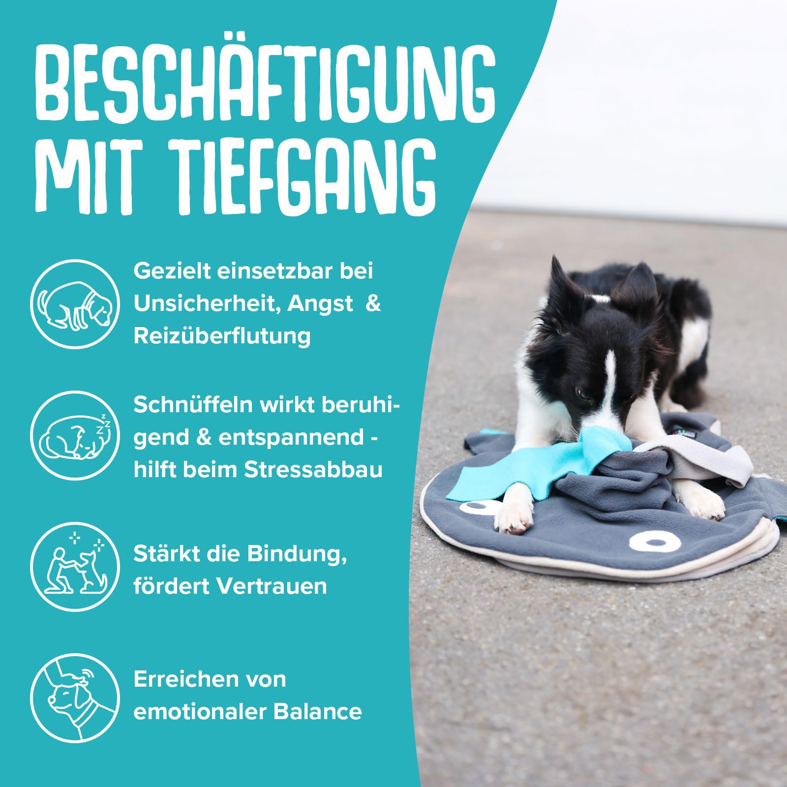 KNAUDER’S BEST | SCHNÜFFELWAL Kurt | Schnüffelteppich & Intelligenzspielzeug für Hunde | Made in Germany | für jedes Hundealter sowie Größe geeignet | Vom Hundetrainer entwickelt