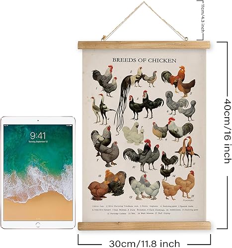 Miniatura 68 de XIAOAIKA Póster de botánica vintage con marco de madera, tabla de plantas venenosas antiguas, arte educativo botánico con especies peligrosas, 1