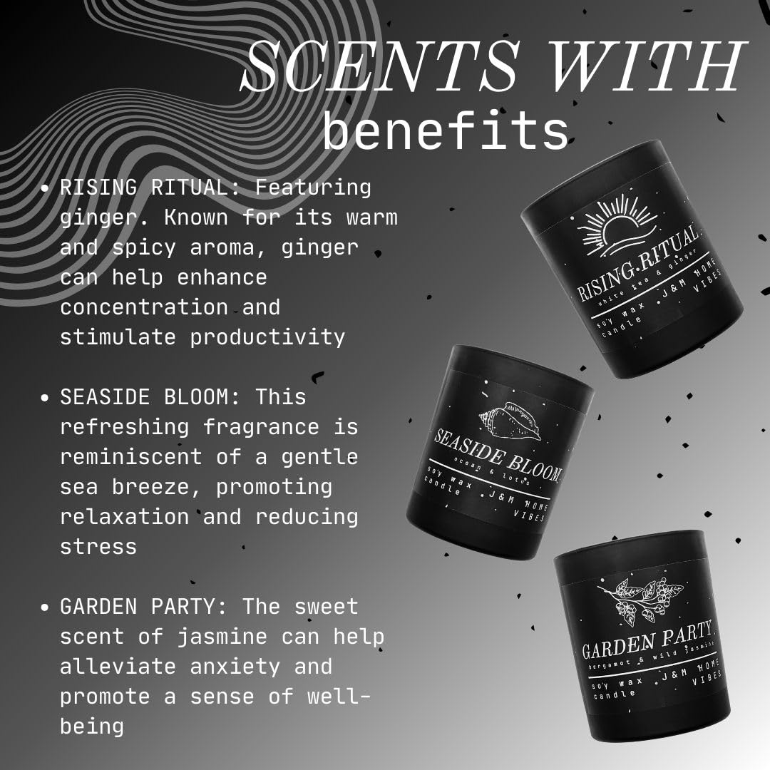 J&M Home Vibes Origin Story: Luxury Scented Candle Gift Set for Home 3-Pack Premium Soy Wax Candles for Men or Women Unisex Masculine Scents Minimalist for Graduation, Birthday