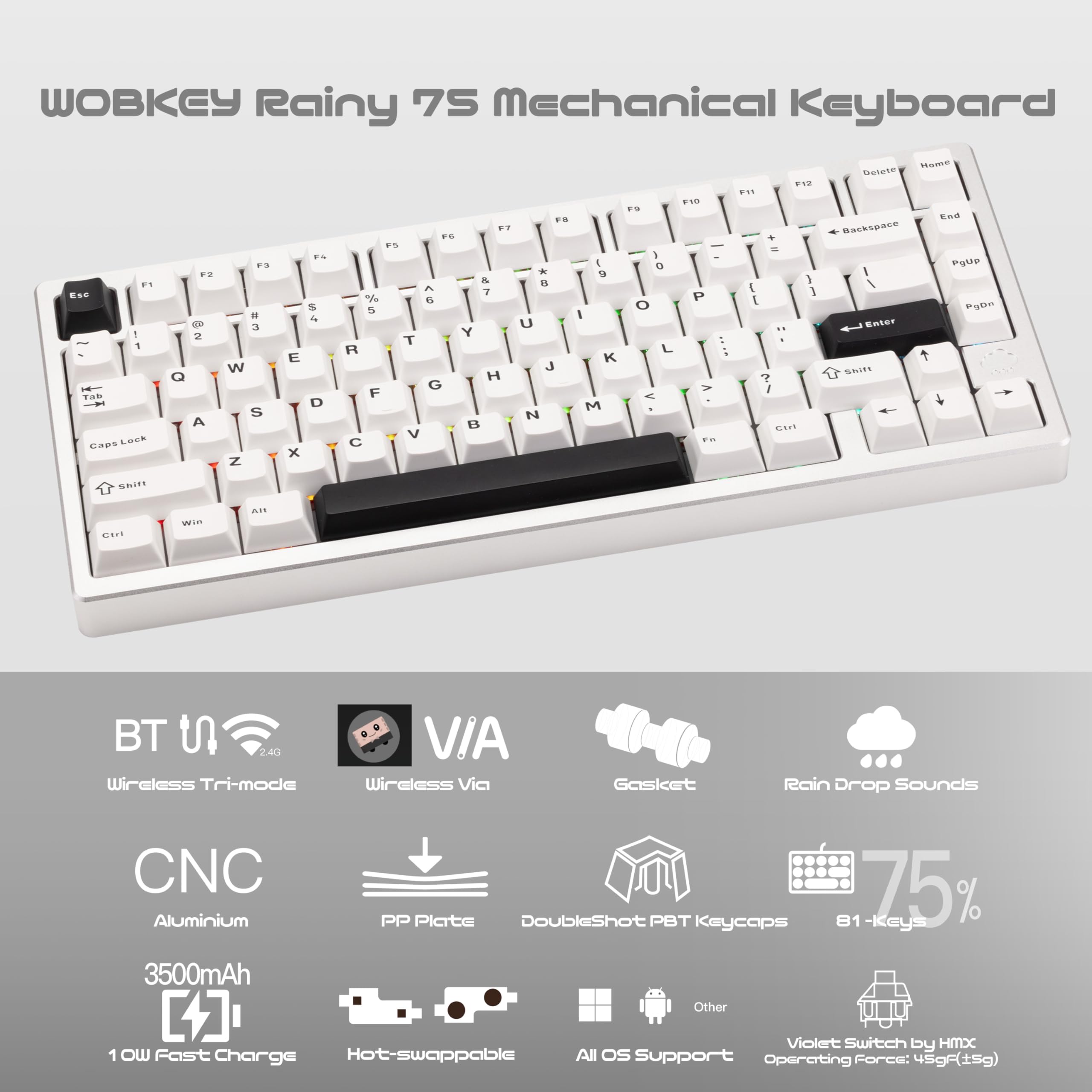 WOBKEY Rainy 75 Aluminum HMX Switch Mechanical Keyboard with Superior Acoustics, Wired, BT, 2.4G wireless Connectivity (Standard - Silver) - 3