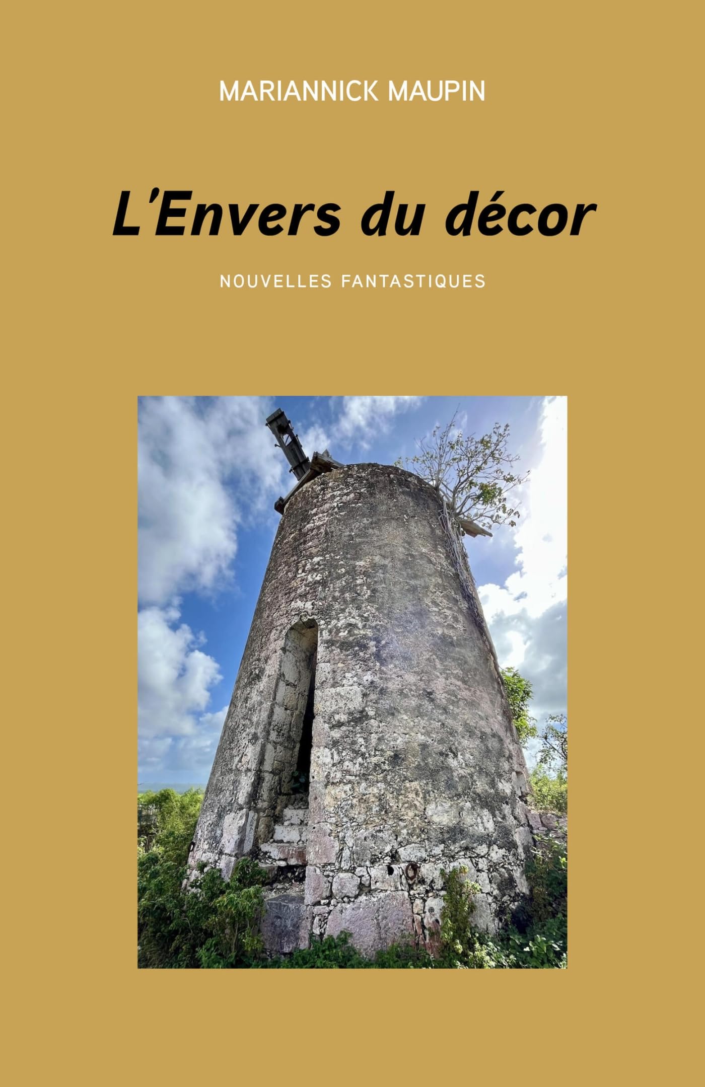 L'Envers du décor: Nouvelles fantastiques