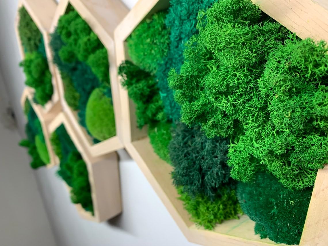 Moss Hexagons
