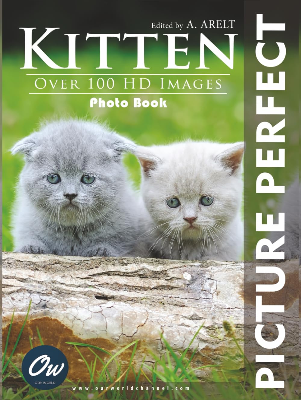 Livre photo Kitten Picture Perfect pour sublimer la décoration de votre salon