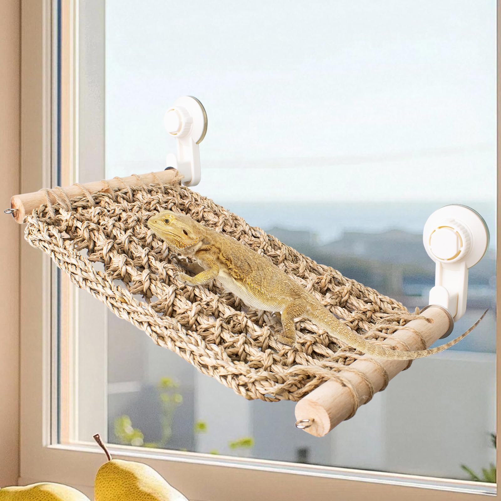 FlidRunest 13.3 x 7.8 in Seagrass Bearded Dragon Hammock for Window, Lizard Window Perch, Reptile Hammock Perch with Powerful Suction Cups for Lizard, Leopard Gecko, Chameleon
