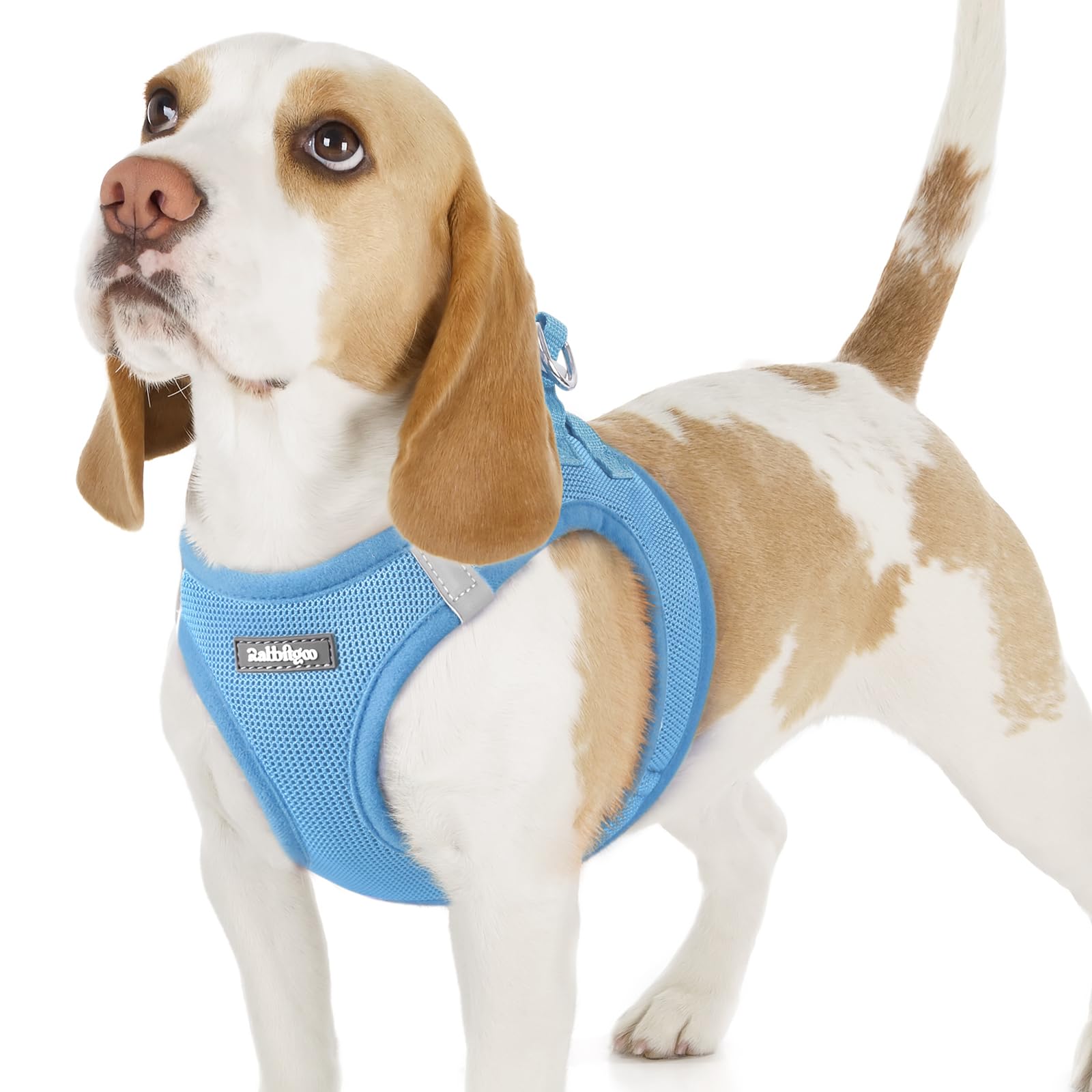 rabbitgoo Hundegeschirr kleine Hunde, Step-in Soft Mesh Hundegeschirr mit Sicherheitsverschluss, atmungsaktives und reflektierendes Welpengeschirr für kleine Hunde
