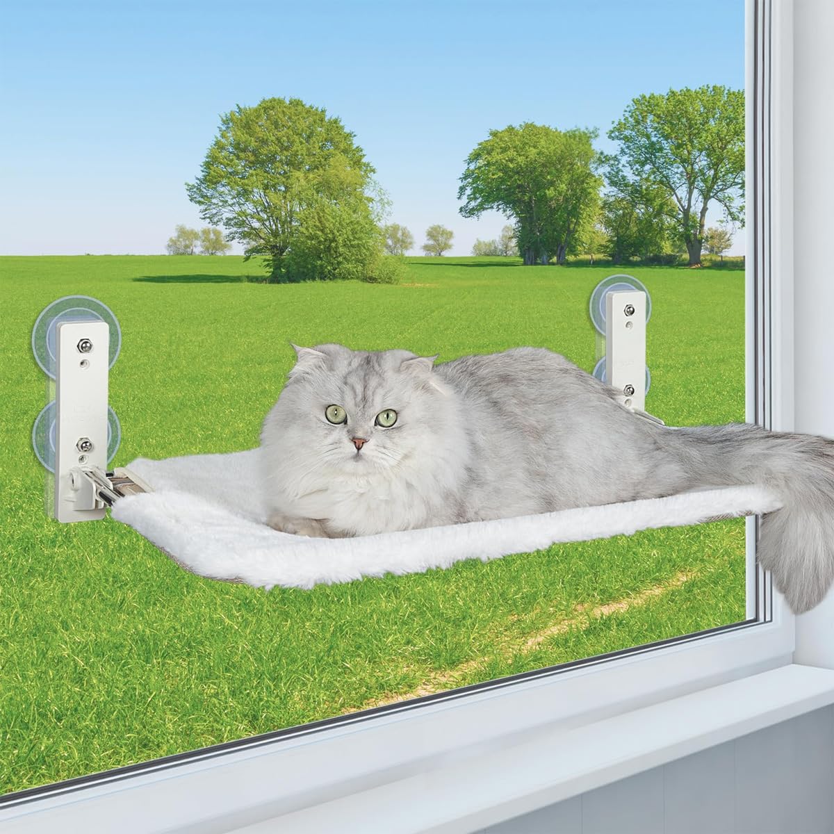 Hamaca para gatos plegable inalámbrica para ventana con 4 ventosas, marco resistente para ventanas de vidrio y paredes interiores, color blanco, 52 x 30 cm, soporta hasta 20 kg