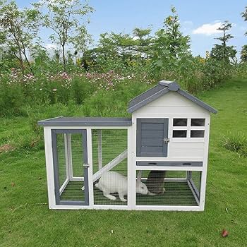 Amazon.com : BIRASIL Wood Rabbit Hutch, Guinea Pig Cage with