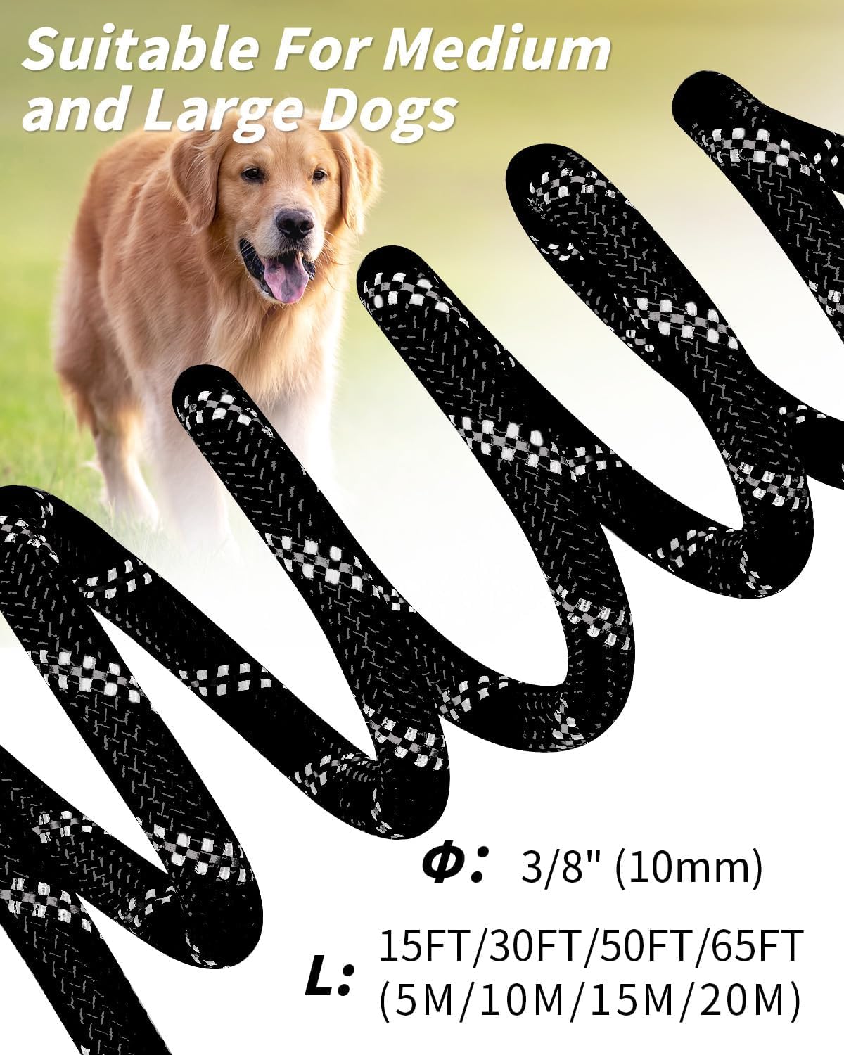 Joytale Longe pour Chien 5m/ 10m/ 15m/ 20m, Poignée Rembourrée, Double Crochets Robustes, Laisse de Dressage pour Chien de Moyen à Grandes Taille (Noir, 5m)