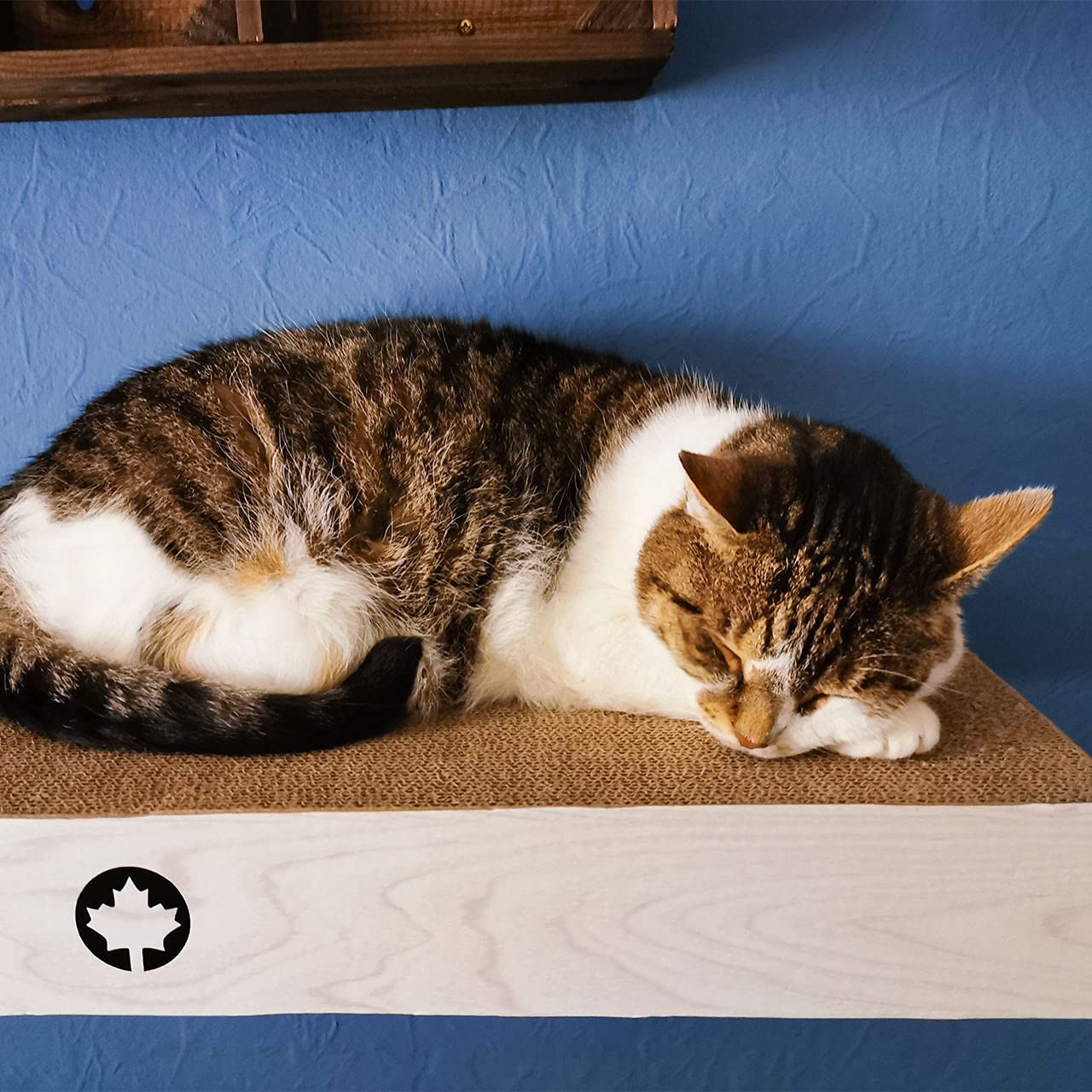 CanadianCat Company | Catwalk aus 3er Kratzbrett-Set mit verdeckter Wandbefestigung Cloud | hellgrau | ca. 70 x 30 x 8 cm Kletterwand Katze Catwalk