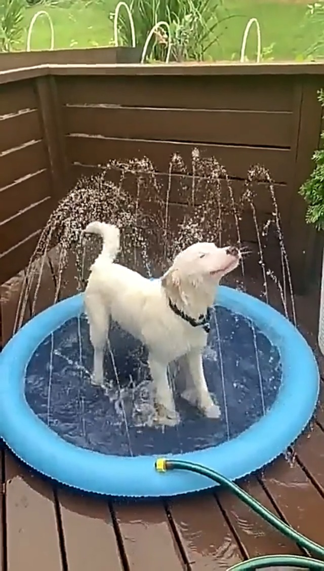 Almohadilla De Salpicaduras De 170 Cm ENCOUN – Manta De Agua Para Niños Y Perros, Con Aspersores Ajustables, Fácil De Plegar Y Guardar, Para Jardín Y Playa