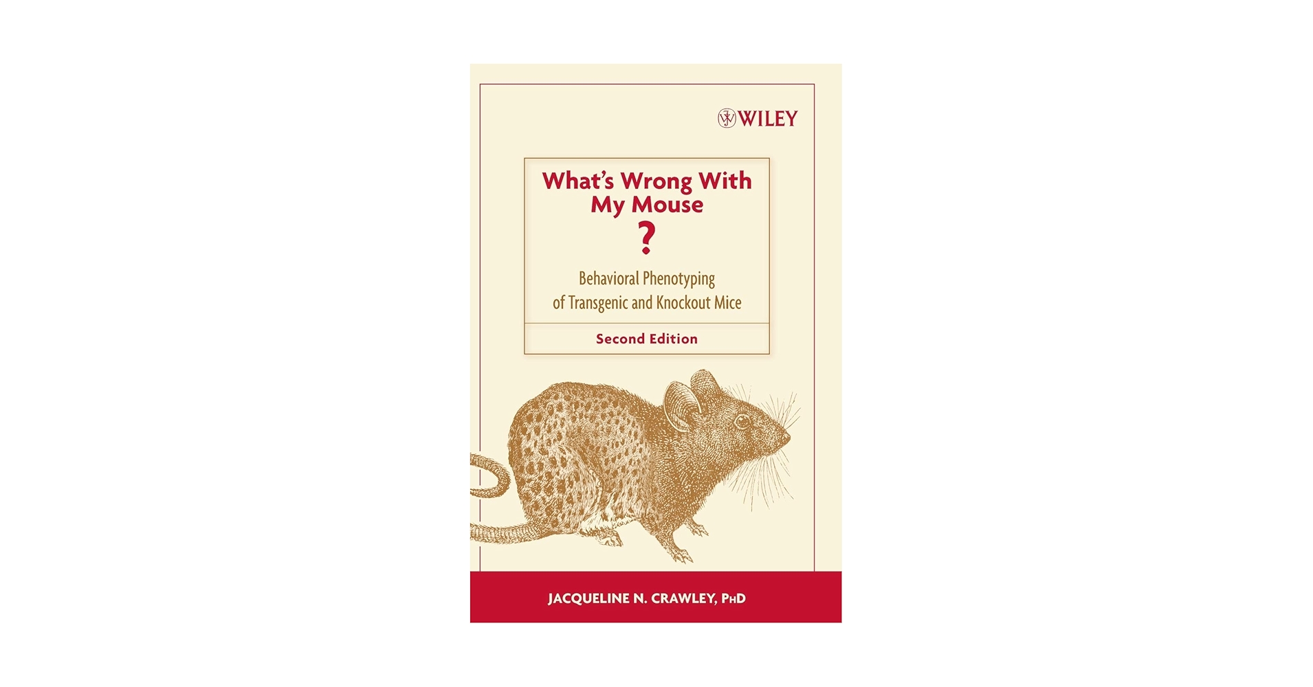 【洋書・美品】What's Wrong with my Mouse? 洋書・美品】What´s Wrong with my Mouse?