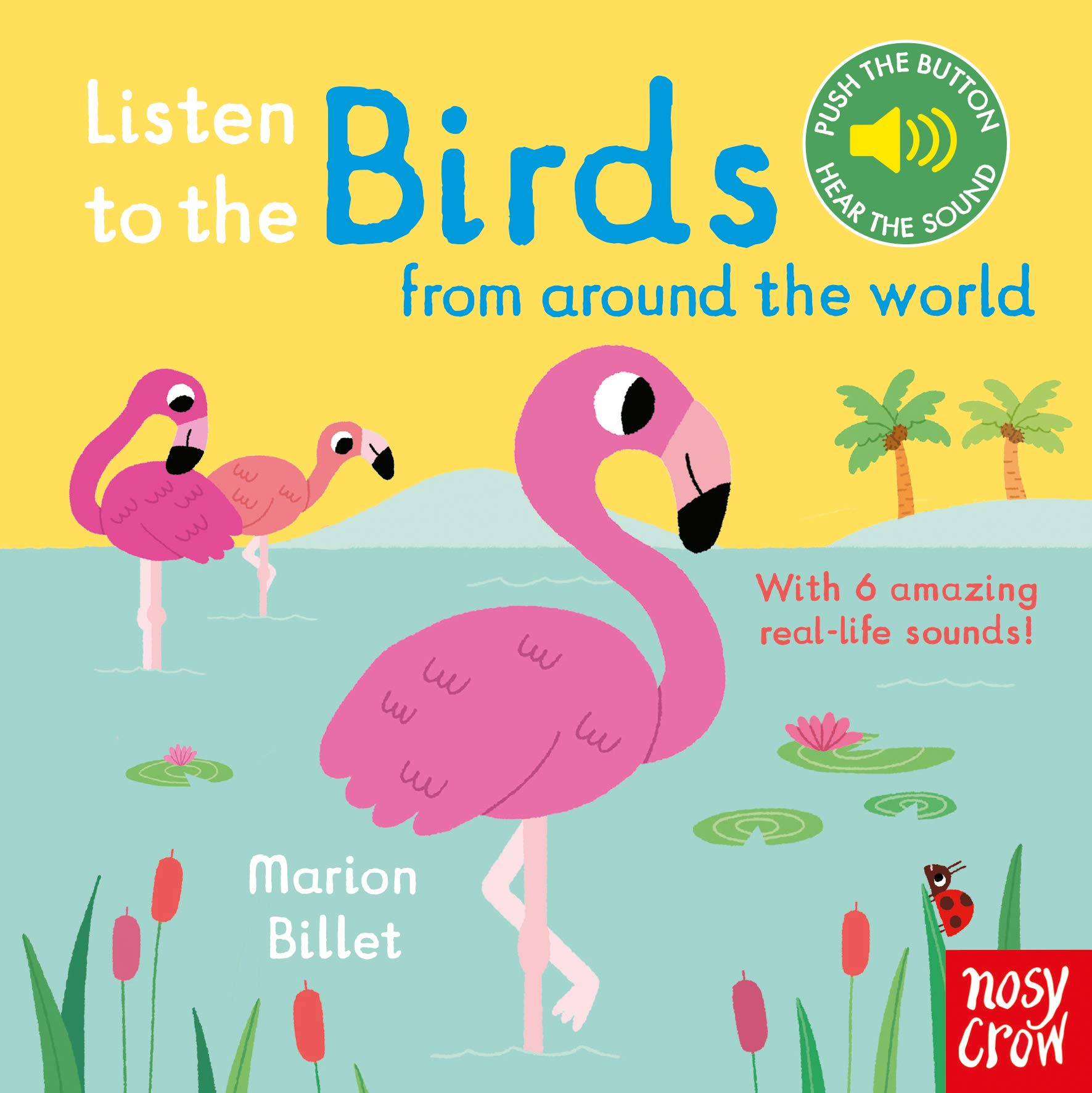 Listen To Birds From Around The World