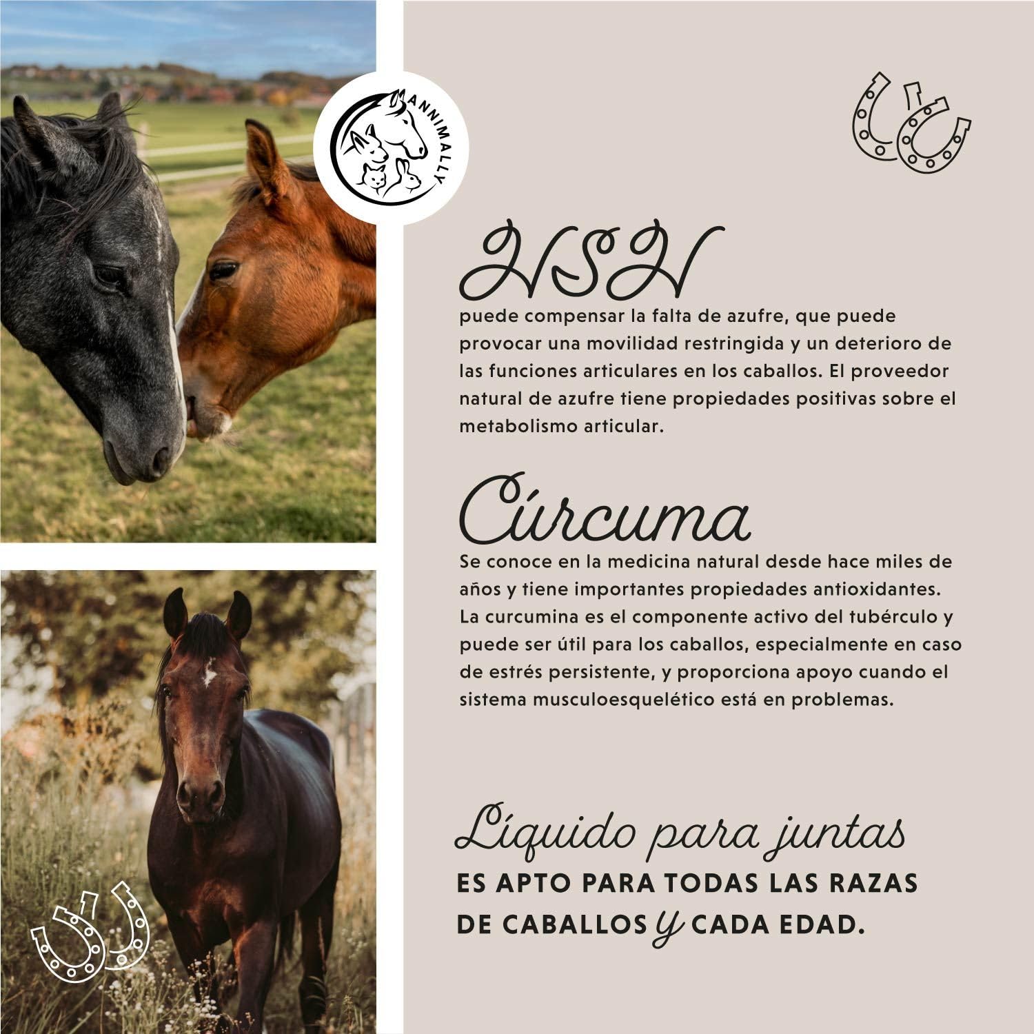 Annimally Condroprotector para Caballo 1000ml con Garra del Diablo, glucosamina Caballos y MSM Caballos (azufre) en Forma líquida - Complemento alimenticio Caballos - Alternativa al Polvo