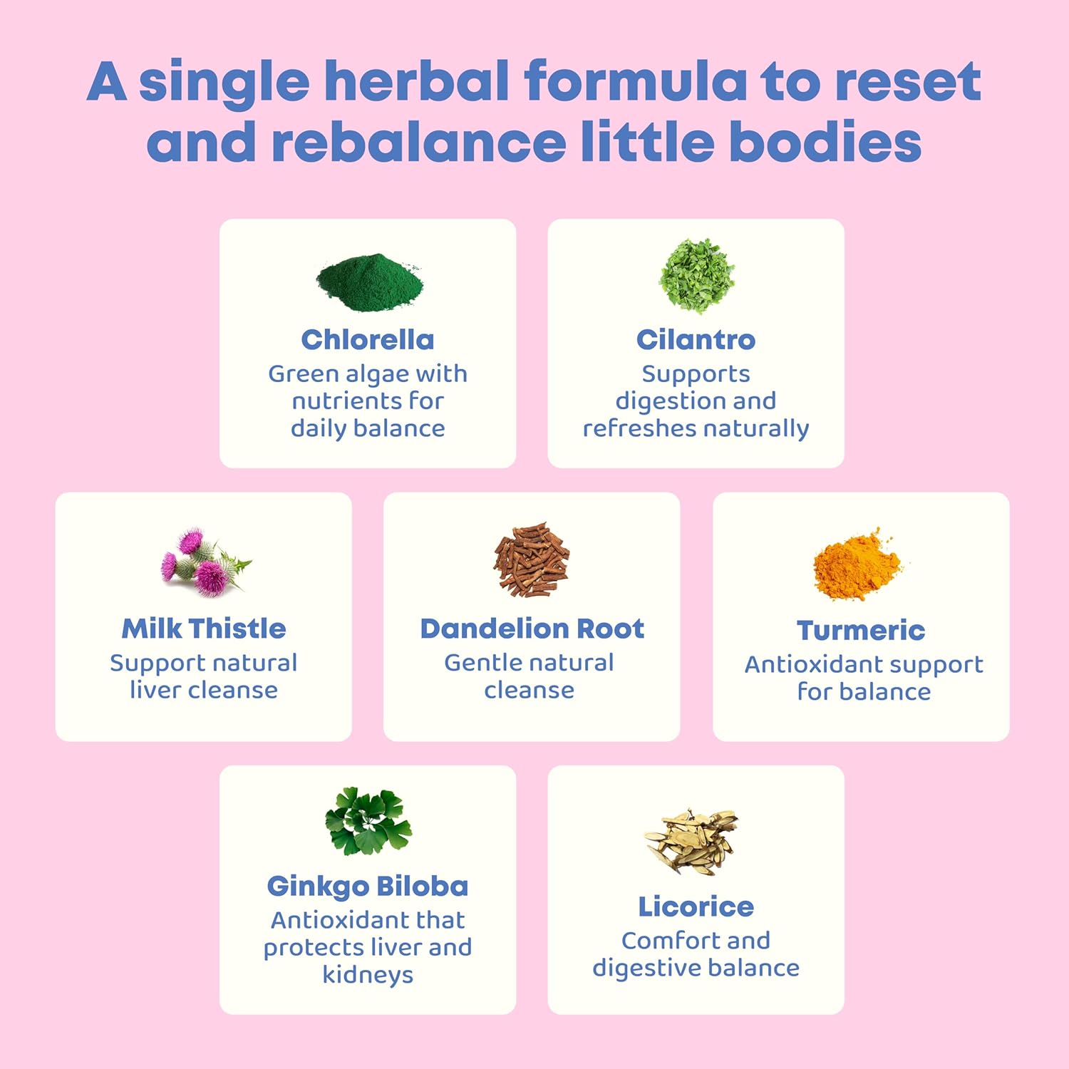 JoySpring Herbal Detox for Kids – Cilantro Extract Cleanse to Support Speech & Improve Behavior – Natural Detox with Cilantro - 1 fl oz (30 Servings) - Image 5