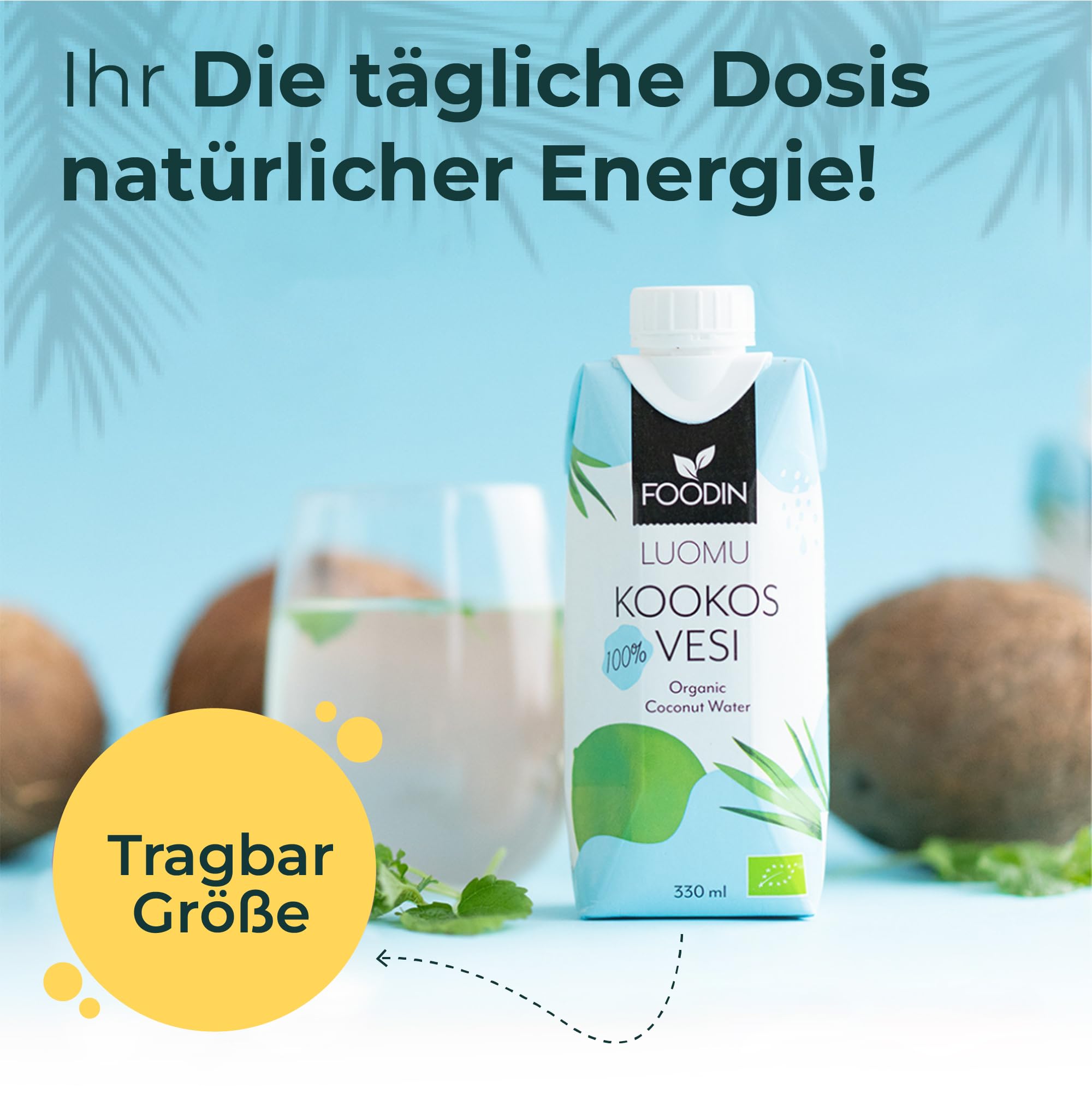 Foodin Bio-Kokoswasser – 100% natürliches Kokosnusswasser mit Elektrolyten – glutenfrei, kalorienarm, fettfrei, vegan – 12er Pack (12 x 330ml)