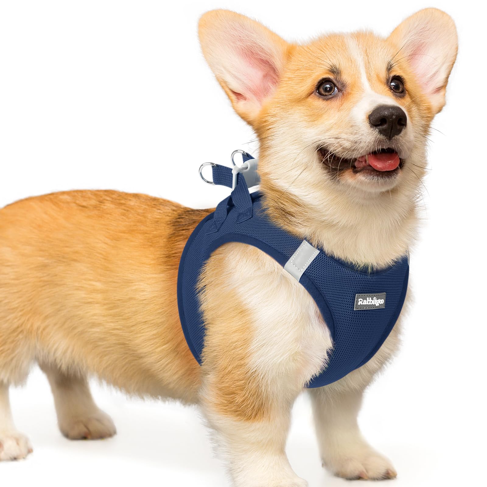 rabbitgoo Hundegeschirr kleine Hunde, Step-in Soft Mesh Hundegeschirr mit Sicherheitsverschluss, atmungsaktives und reflektierendes Welpengeschirr für kleine Hunde