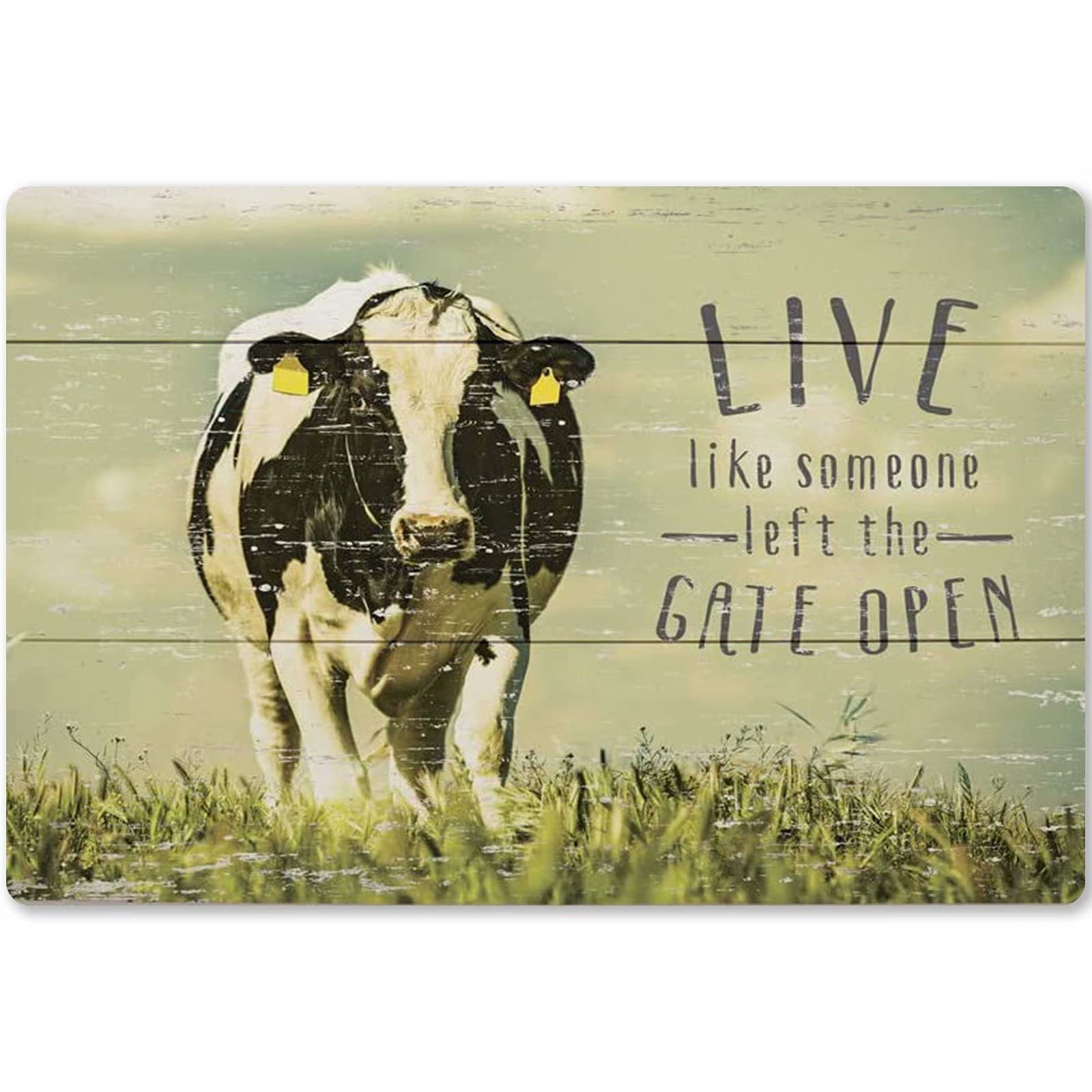 Yelacecca Live Like Someone Left The Gate Open Cow Fun Farmbedroom Bar Bathroom Home Wall Decoration 16X12Gift Funny Vintage Metal Sign Poster 8X12 Inches