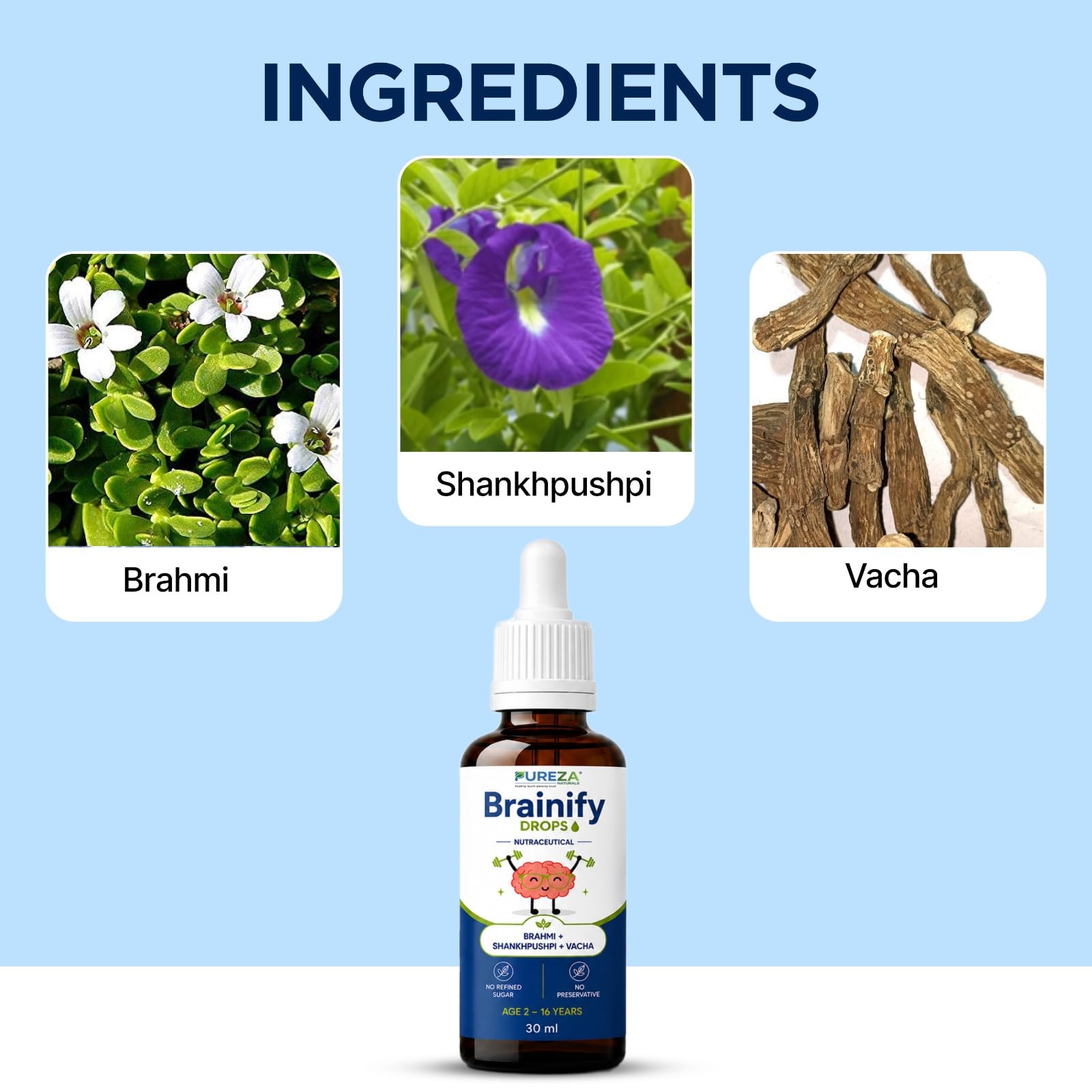Brainify Herbal Drops 30ml for Kids 2–16 Years | Brain Wellness Supplement with Brahmi, Shankhpushpi, Ashwagandha, Jatamansi, Guduchi & Licorice | Daily Memory & Focus Support Liquid — Amazon image 5