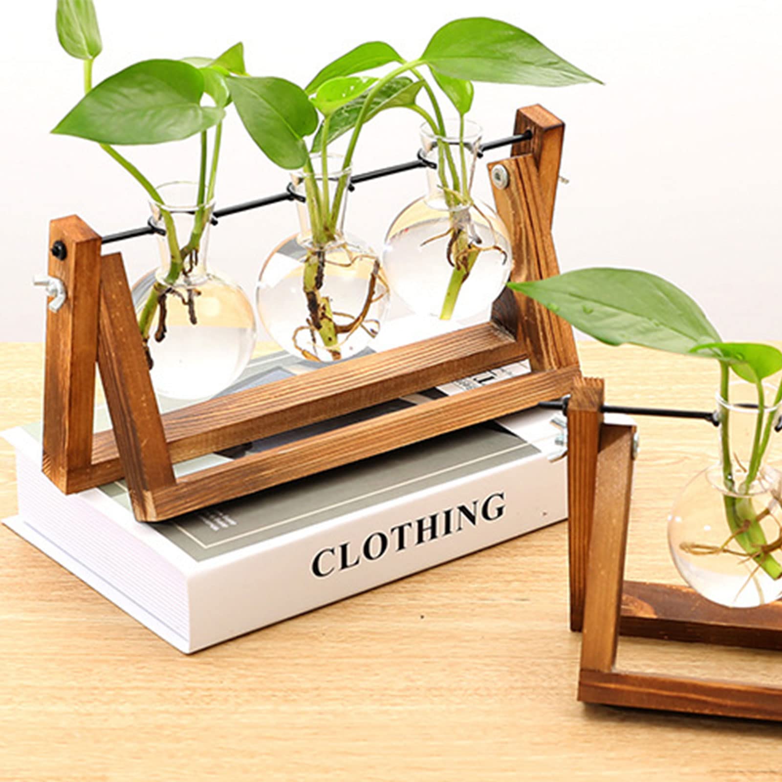 Plantenterrarium