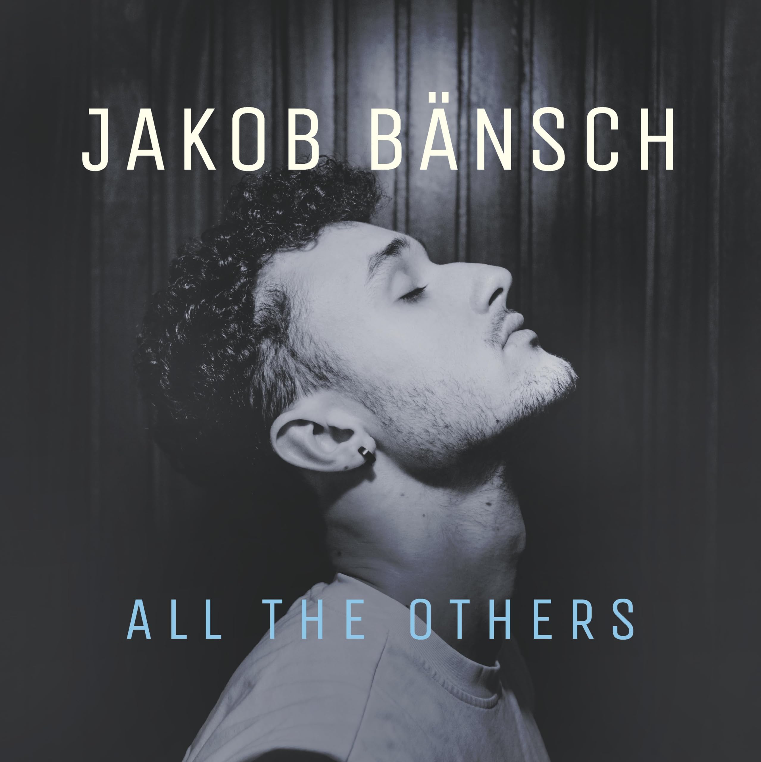 All The Others [VINYL]
