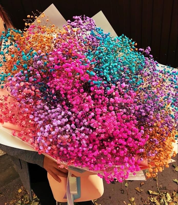 CLOUD INDIA Decorative Baby Breaths Naturally Dried Flower for Vase Filler for Home Dcor|Indoor |Office Dcor (Multicolor, 50 Stem)-image-22