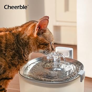 Amazon | Cheerble 猫自動給水器 水飲み器 ポンプレス磁力給水