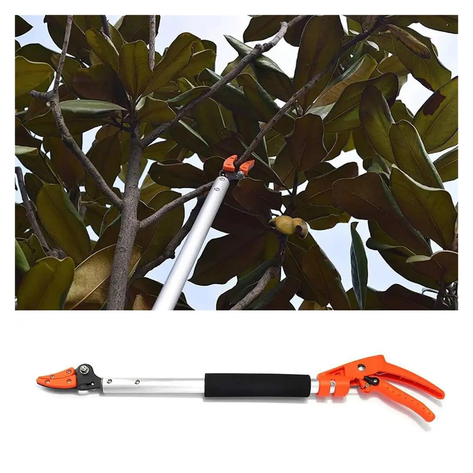 Raccoglitore Di Frutta Raccoglitrice di frutta 1M, forbici extra lunghe for la raccolta della frutta, potatura e mantenimento, potatore bypass, utensile da giardino for la raccolta di uva e cachi.