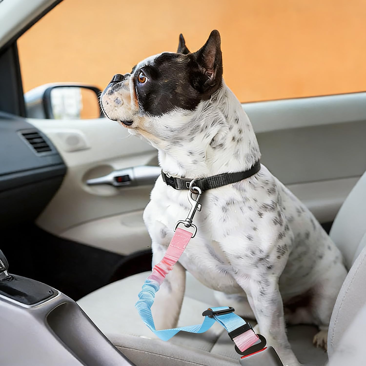 Réglable Ceinture Securite Chien Voiture - 1 Pièce, Bleu Rose Dégradé, Elastique Attache Chiens Voitures, Adaptée à Tous Les Types d'animaux et de Modèles de Véhicules