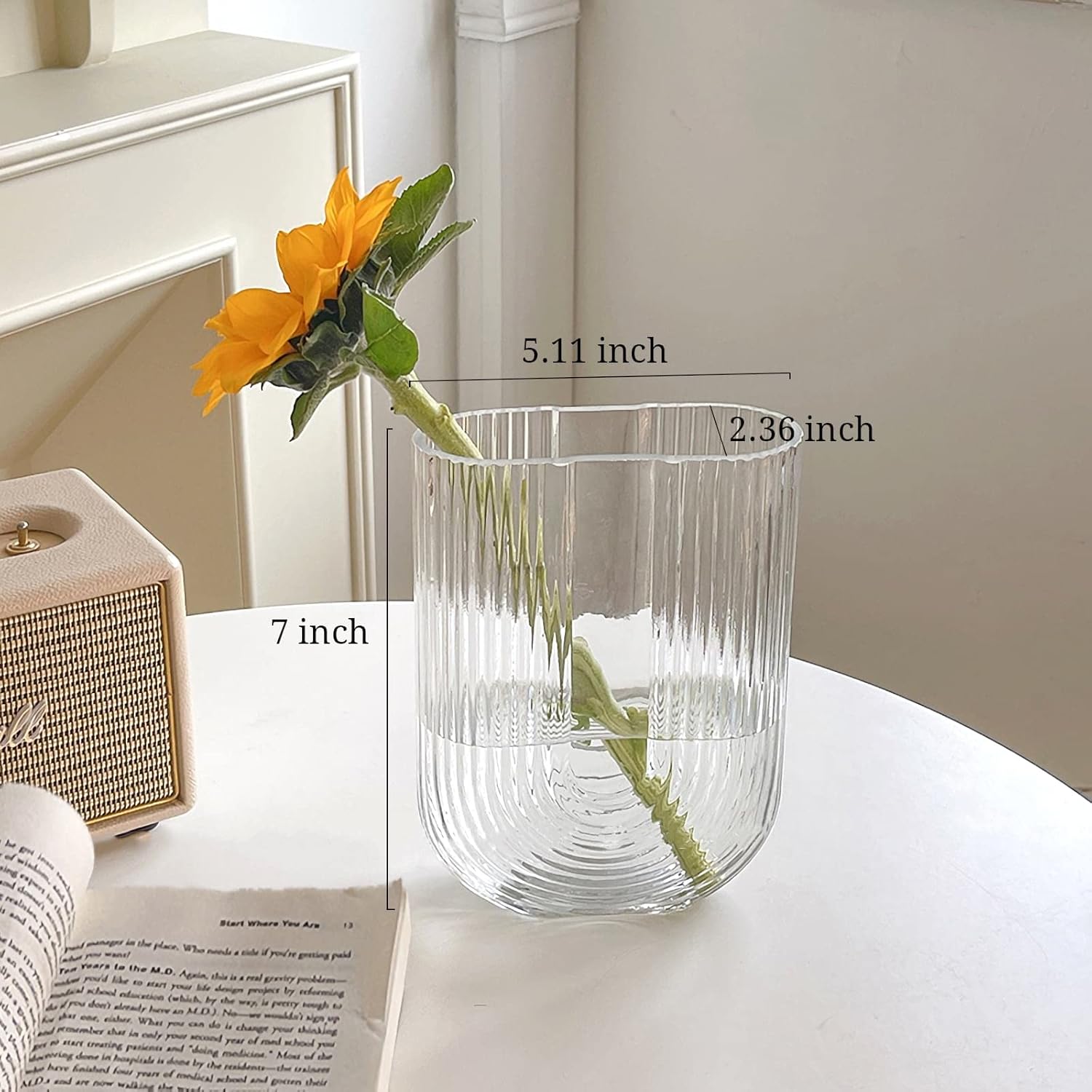 Clear Ribbed Glass Flower Vase, 7" H Modern Small Vase, Ellipse U Shaped Fluted Striped Decorative Vase, Fit for Home Living Room Table Decor (Open:5.11" x 2.36")