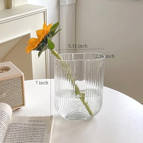 Miniatura 4 de Florero de cristal acanalado transparente, florero pequeño moderno de 7 pulgadas de alto, florero decorativo a rayas en forma de U, apto para