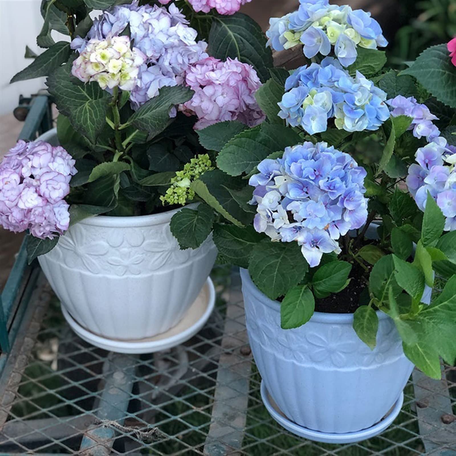 Doniczki na kwiaty doniczka ceramiczna z dużym otworem z otworami odpływowymi Orchidea kaktus ozdobna sadzarka, biało-niebieska doniczka ogrodowa (kolor: biały, rozmiar: L)