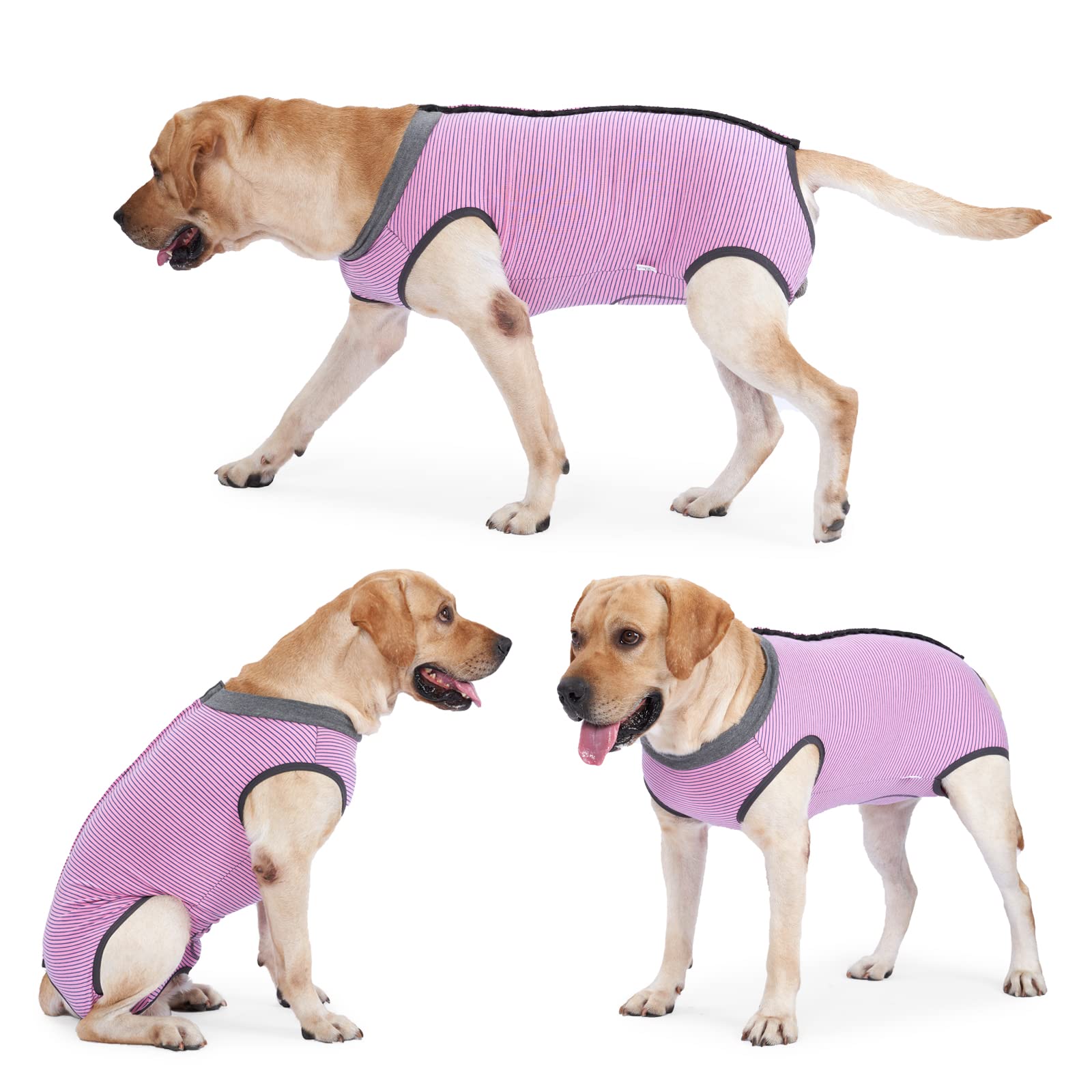 Combinaison De Convalescence Pour Chat/petit Chien - Polaire Rayée, Taille L (tour Poitrine ~47cm)