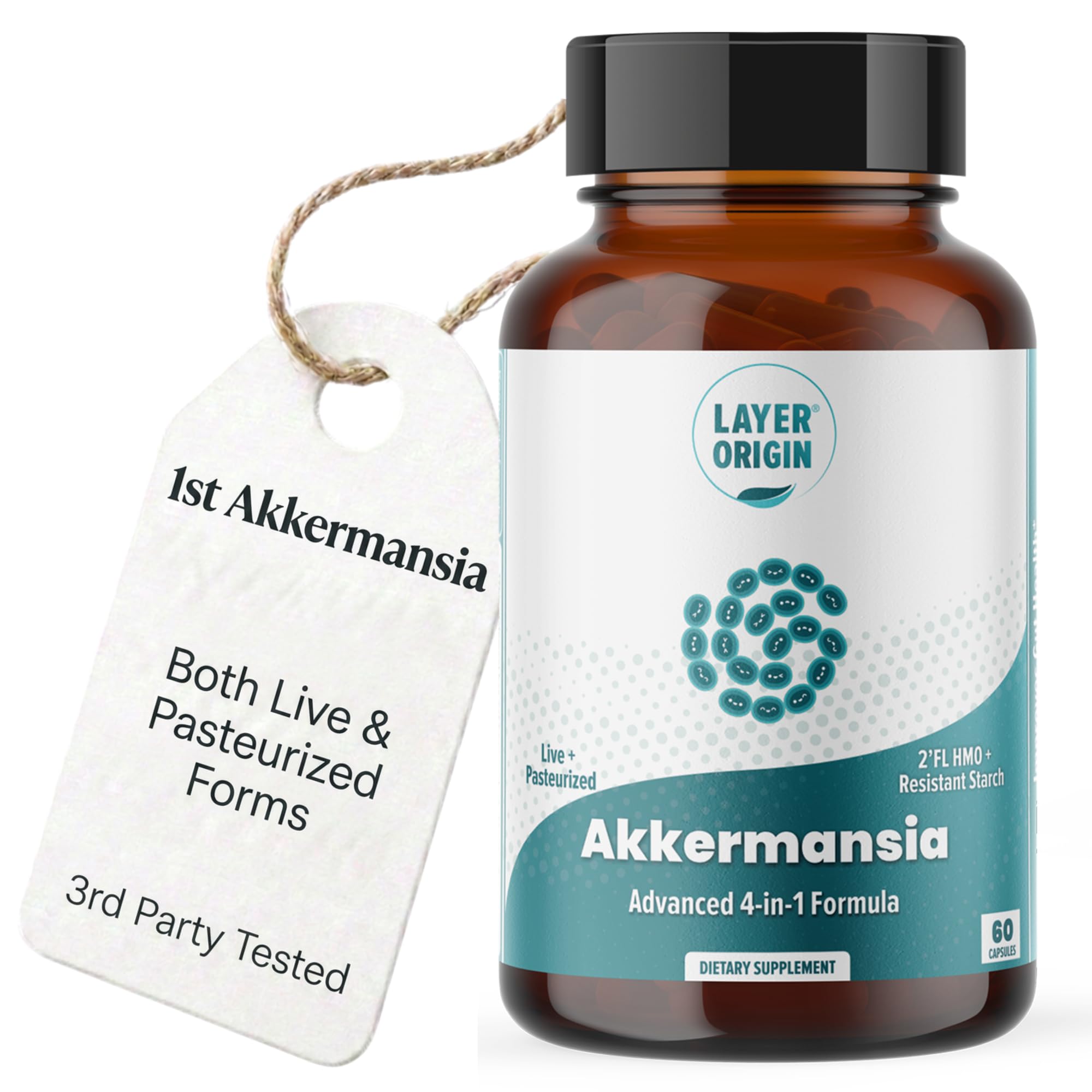 Akkermansia muciniphila Probiotic, Live + Pasteurized (2-in-1), with PureHMO Prebiotic, Validated Strain, 60 Capsules