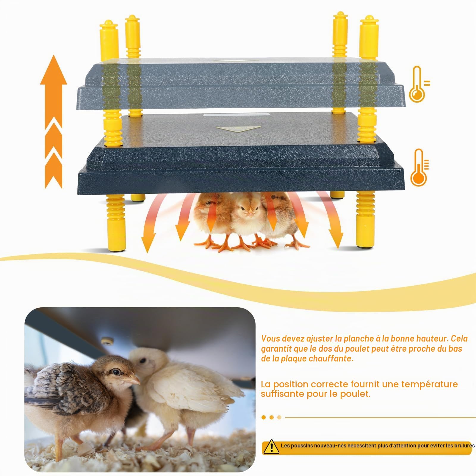 EFUTURETIME Plaque Chauffante pour Poussins 22 W, Panneau Chauffant Poussin 31 x 31 cm, Chick Heating Plate Hauteur Réglable