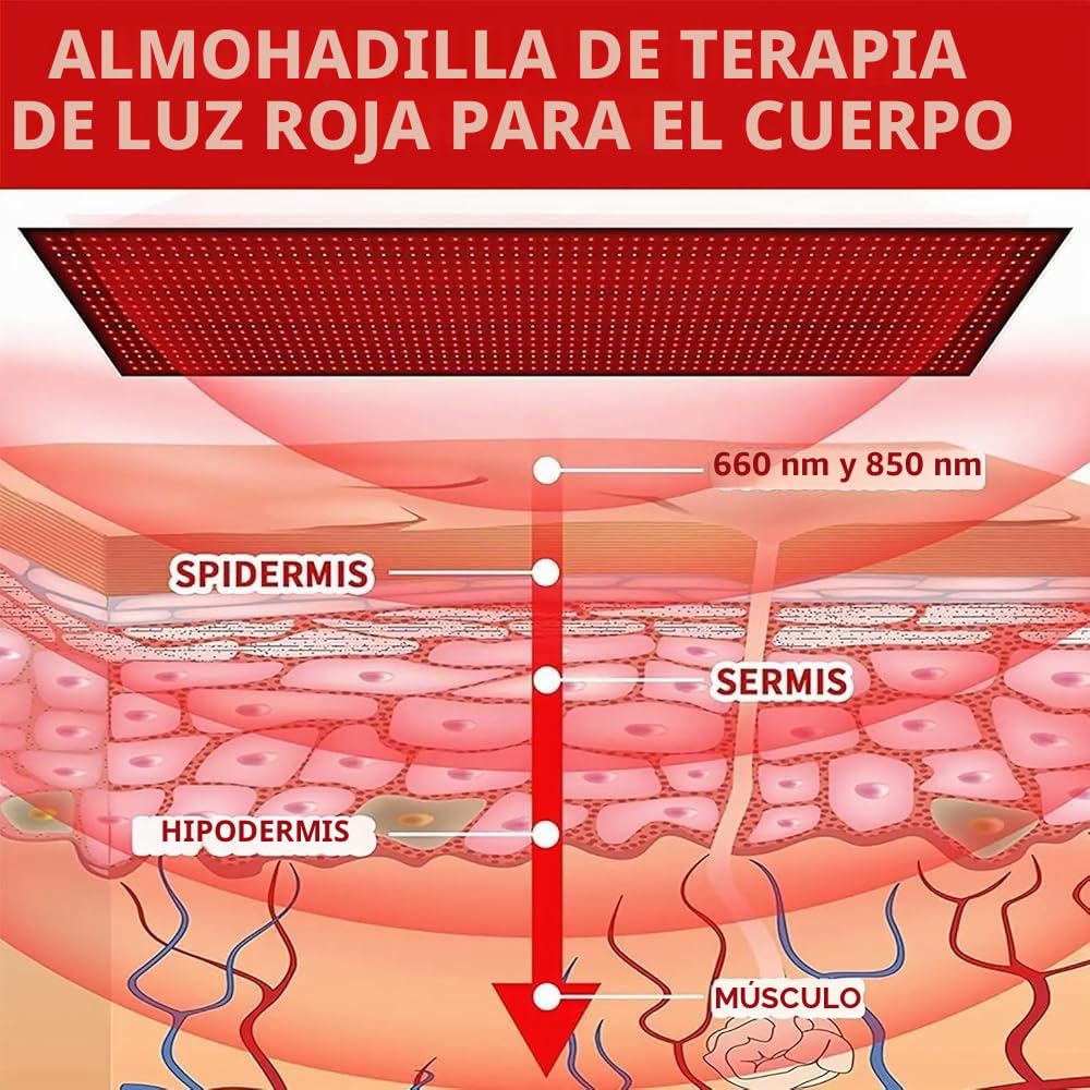 Esterilla de terapia de luz roja con 360 LED para el cuerpo,almohadilla envolvente grande para terapia de luz roja con luz infrarroja cercana de 660 nm y 850 nm,luz roja,tiempo y brillo ajustables