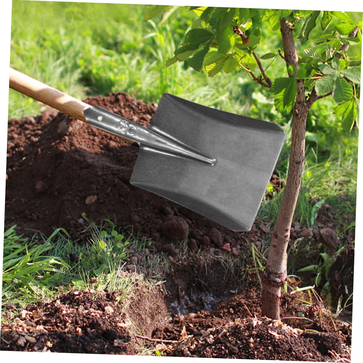 Outdoor-bodenschaufel Aus Hochwertigem Material Robuste Gartenschaufel Ohne Griff Praktisches Gartenschaufelzubehör Für Pflanzen Und Jäten Langlebige Bodenschaufel Für