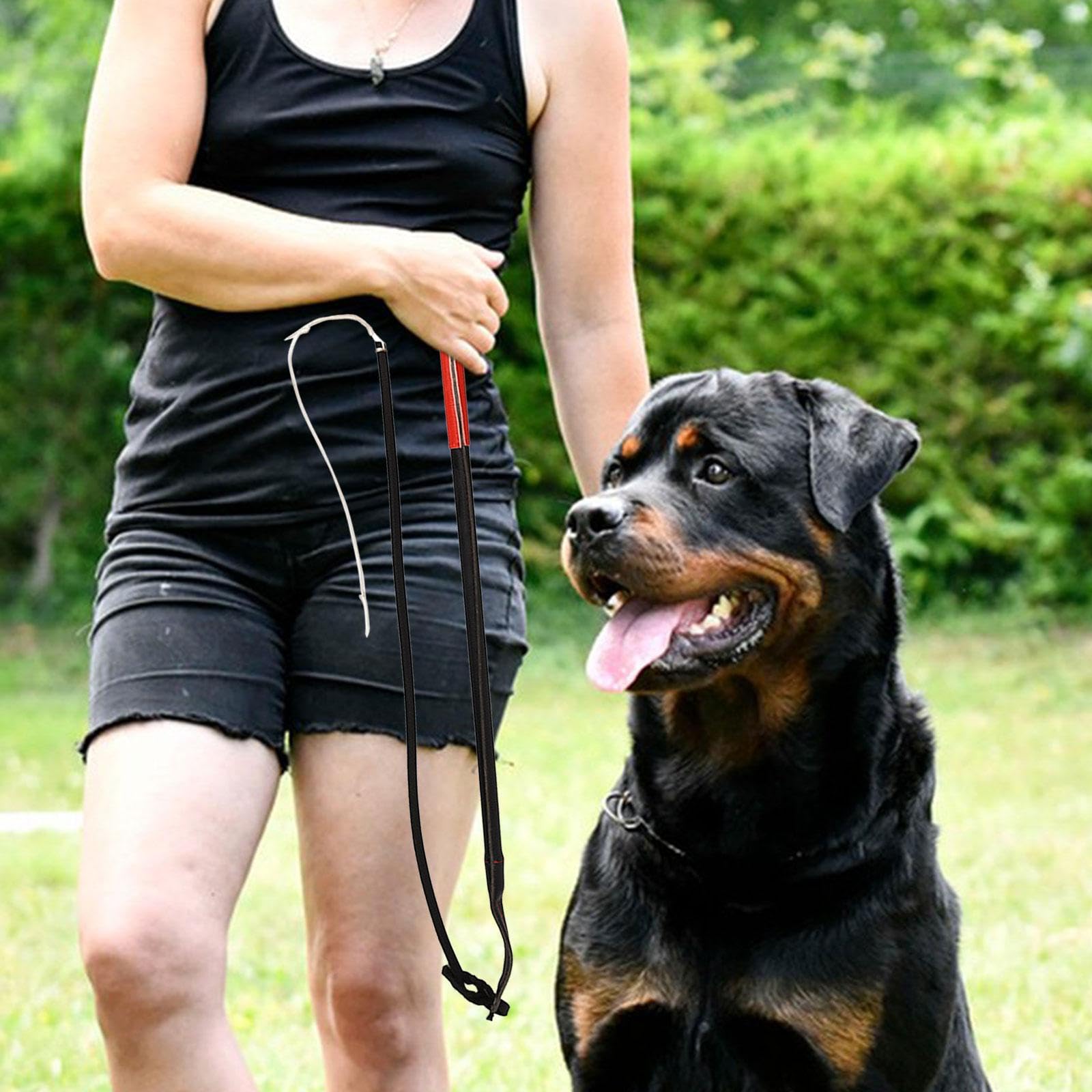 Mordedor Interactivo para Perros Almohada de de Yute Juguete de Cuerda Juguete de Masticar con Asas Ergonómicas Reforzado, Poste de coqueteo