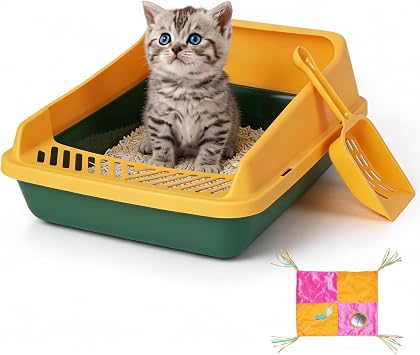 PAWISE Cat Litter Box, 14.3"x10.8"x6.3" Open Top Kitten Litter Pan with Low Entry, Travel Litter Box with Scoop and Play Mat, Anti-Splash Cover, Green