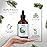 HBNO California Bottled Pine Needle Essential Oil 4 fl oz (120ml) - Natural Pine Needle Oil - Perfect for Cleaning, Aromatherapy, DIY, Soap & Diffuser