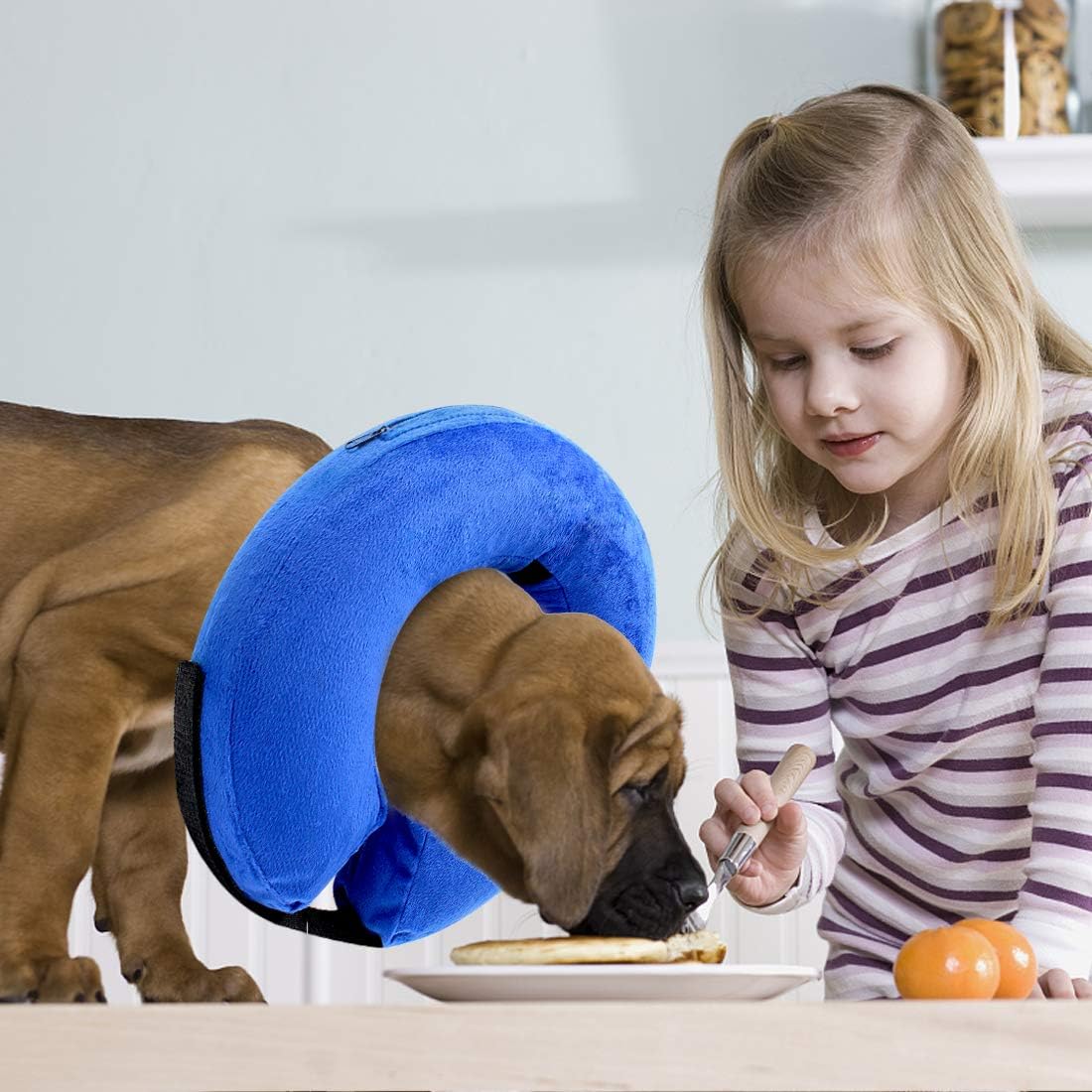 Soft Protective Inflatable Dog Cone Collar for Small