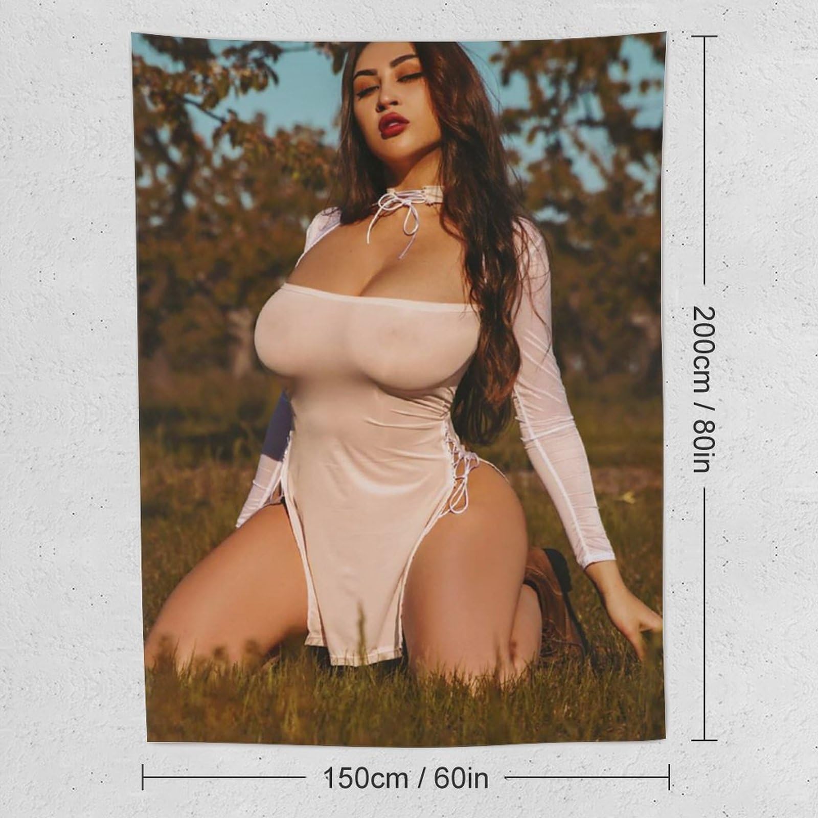 Louisa Khovanski Sexy Bikini Beauty Tapestry (12) Picture Print Tapestry  Wall Paint Art Tapestries Decor Modern Home Artworks Gift Idea 60x80 :  Amazon.ca: Home