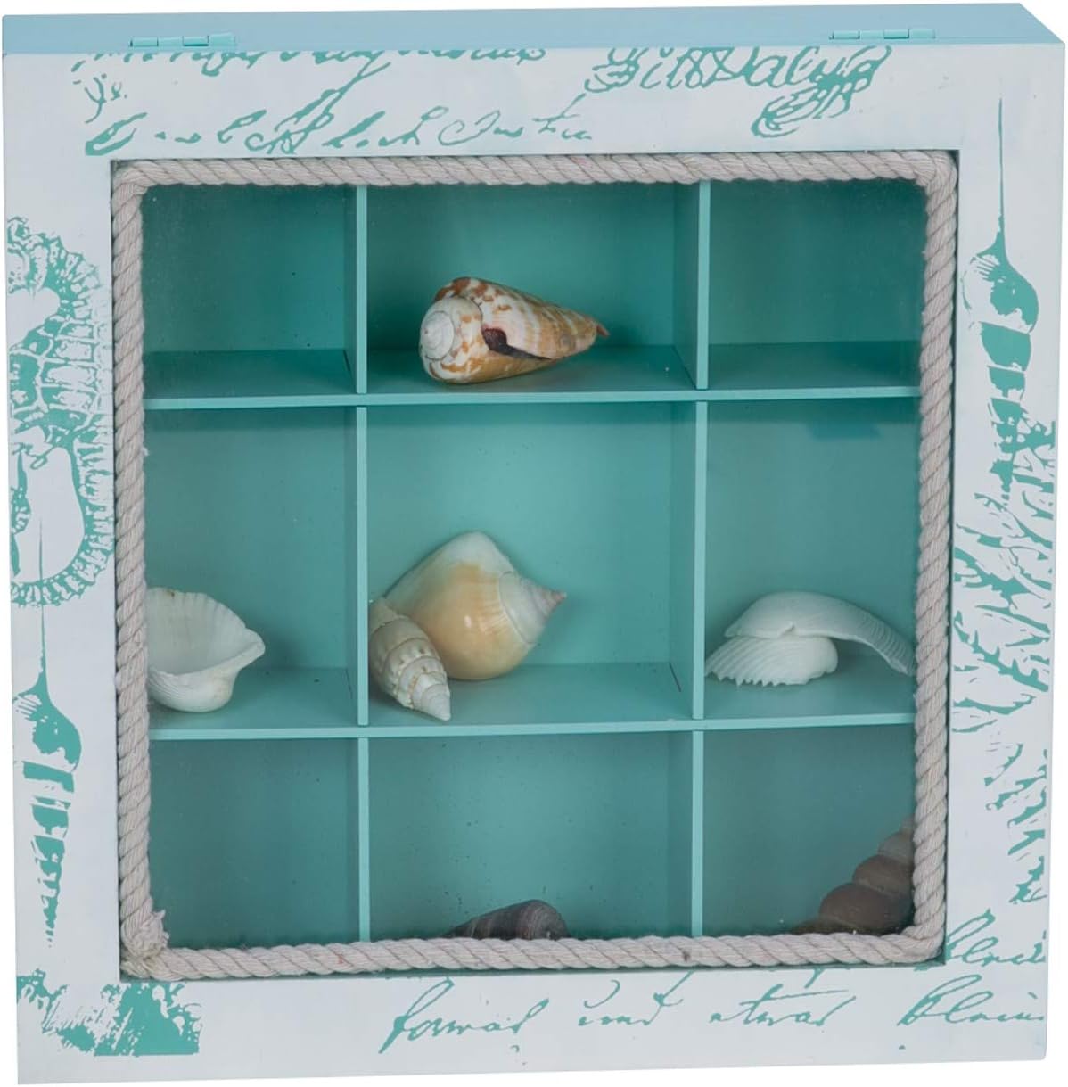 Square Shell Collecting Shadow Box Glass Wood Keepsake Memories Coastal Nautical Beach Home Accent Decor Decoration 9.75" X 9.75" Teal