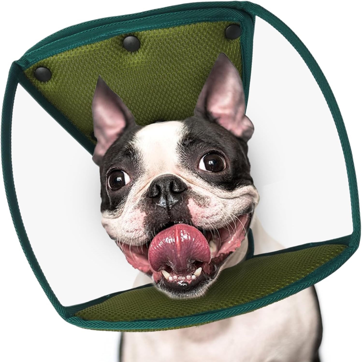 IECOii Soft Dog Dog Cone for Dogs After Surgery,Adjustable Dog Neuter