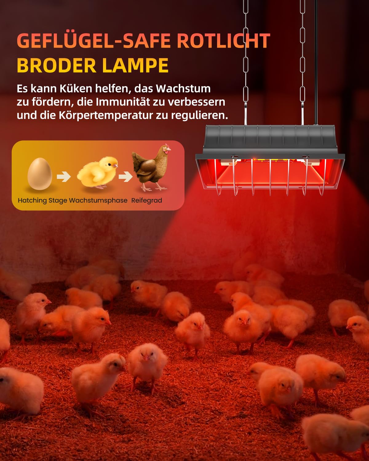 GlowUp Rotlichtlampe Wärmelampe für Küken 275W, Enthält 1x 175W Infrarot Heizlampen, Geflügel-Wärmelampe Hühnerstall für Hühnchenbrüter, Welpen, Enten, Schweine, Lämmer (Grau)
