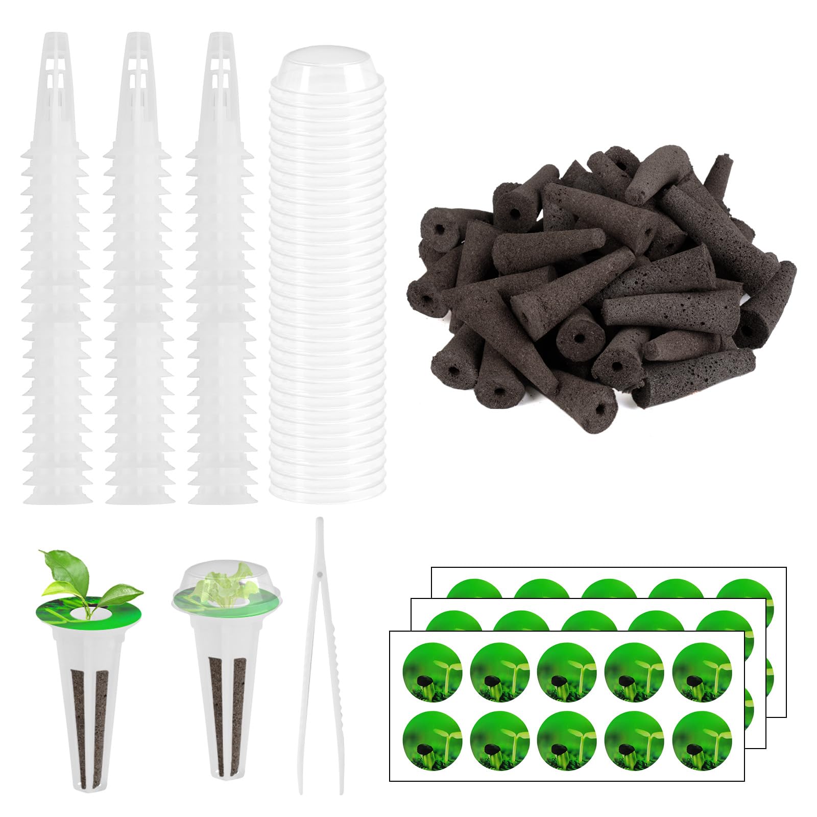 Capsules hydroponiques Grow Anything pour cultiver vos propres herbes fraîches en cuisine