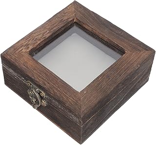 Cabilock Clear Jewelry Organizer Box Specimen Display Box Flip Type Container Specimen Box Jewelry Display Cases with Metal Clasp Glass Lid