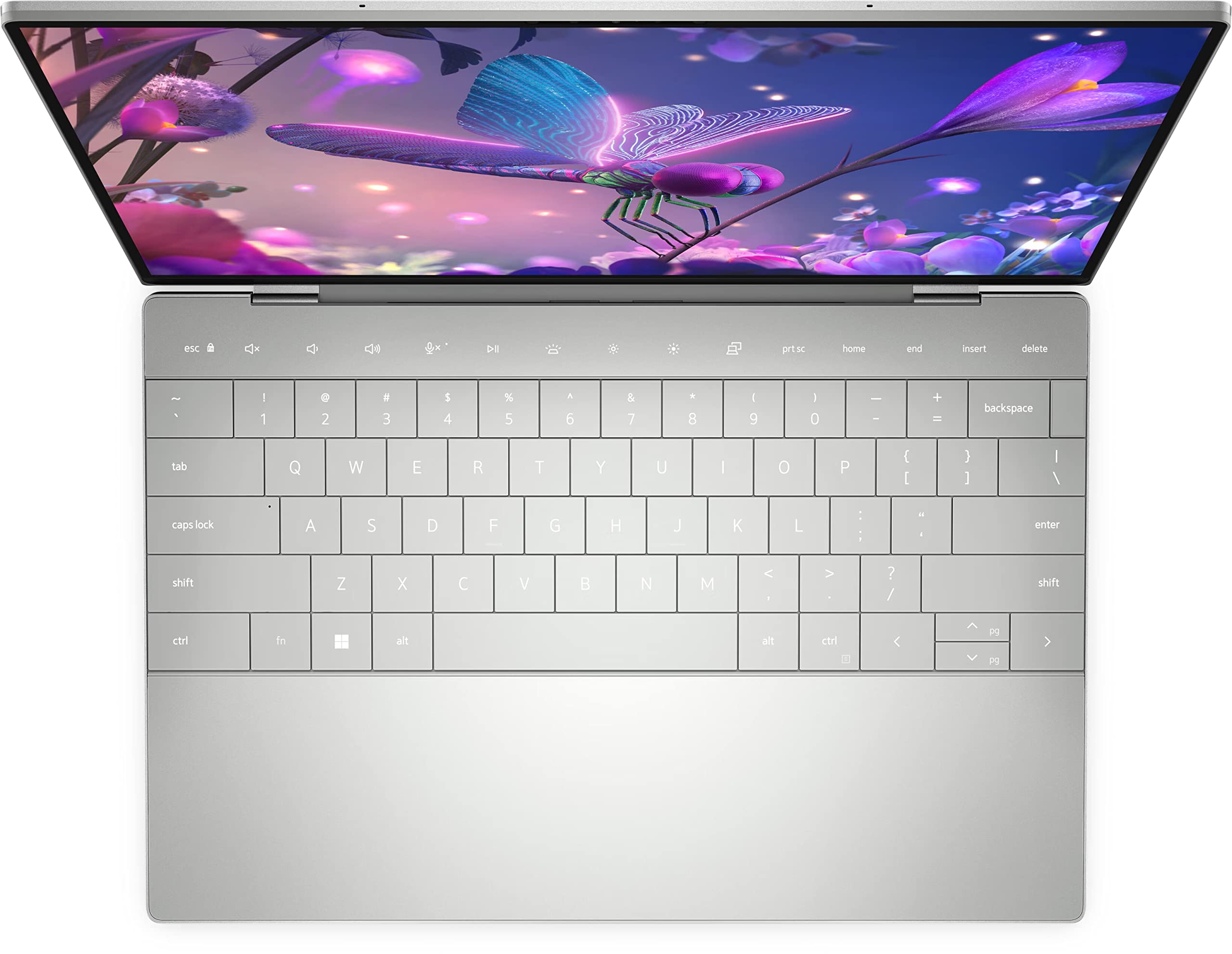 Amazon.com: Dell XPS 9320 Laptop PC 13 inch FHD+ Touchscreen